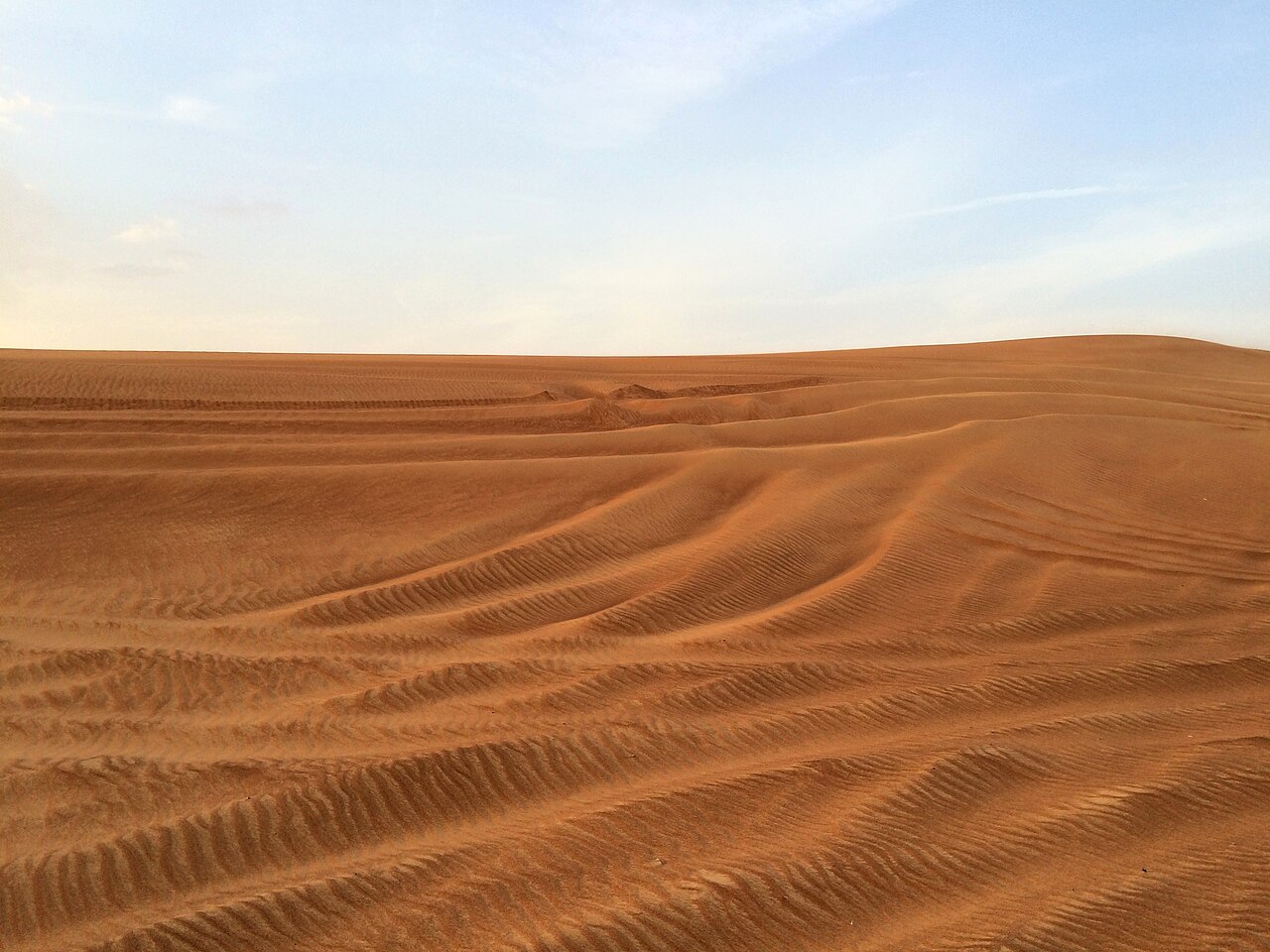 Desert Safari
