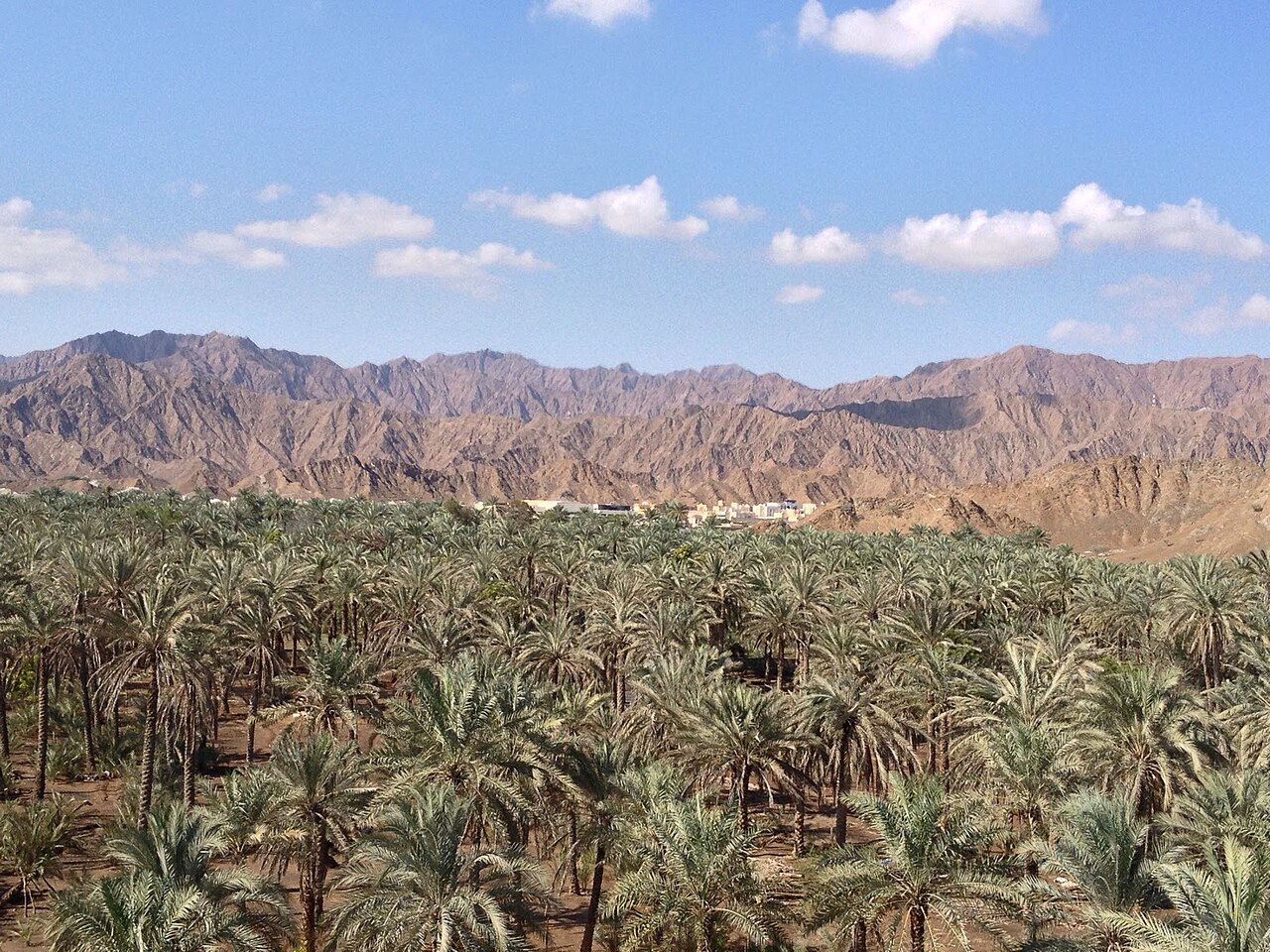 Morocco — Marrakech, Fes & Sahara Desert – gallery